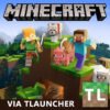 Minecraft (Windows)